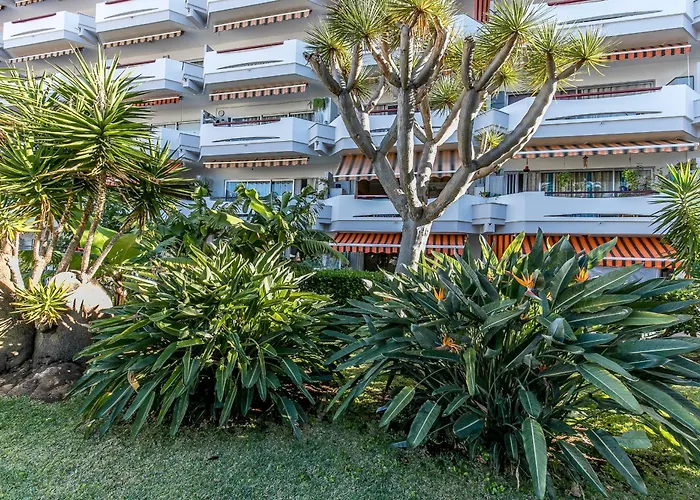 Charming Puerto Cruz, Terrace & Pool Access Appartement *