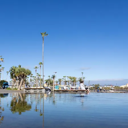 Charming Puerto Cruz, Terrace & Pool Access 푸에르토 드 라 크루즈