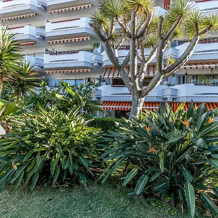 Charming Puerto Cruz, Terrace & Pool Access Apartment *