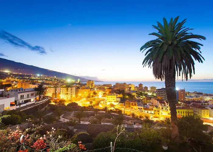 Daire Charming Puerto Cruz, Terrace & Pool Access