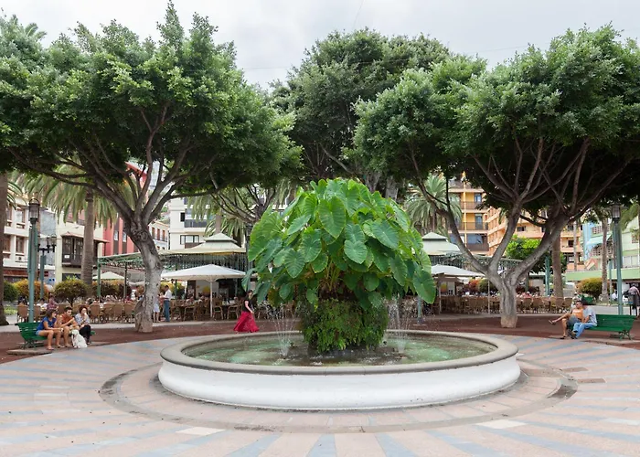 Charming Puerto Cruz, Terrace & Pool Access דירה פוארטו דה לה קרוז